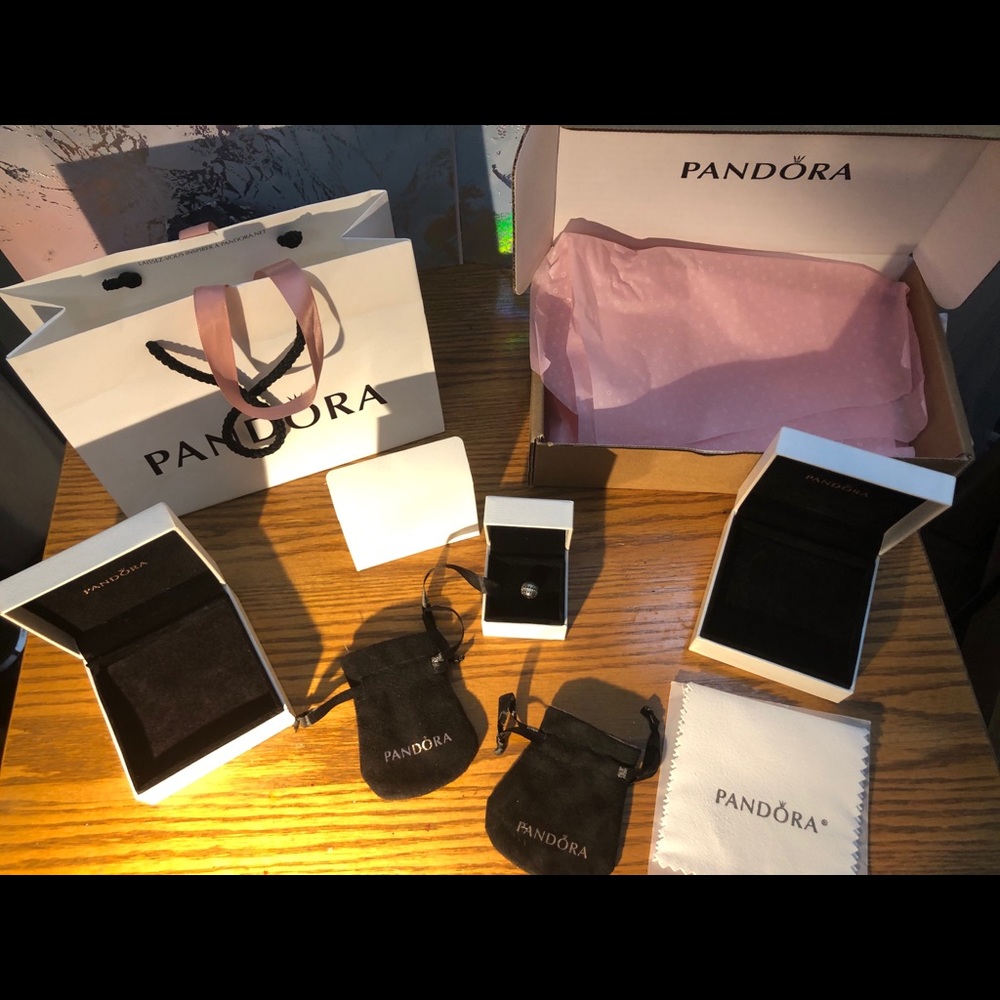 Pandora Set and Charm